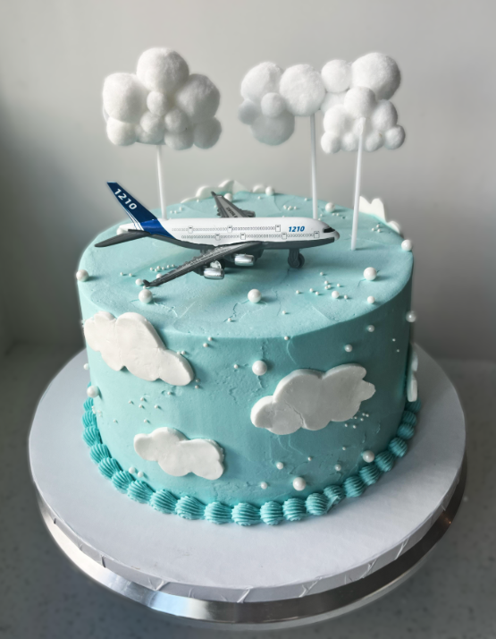 Airplane Birthday Cake